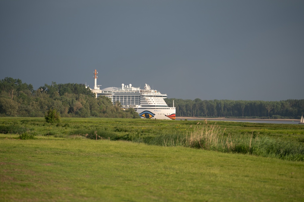 A7407717.jpg