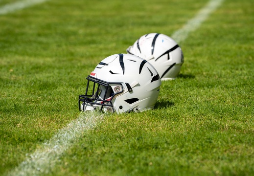 Wild Tigers vs Ostholstein Vikings